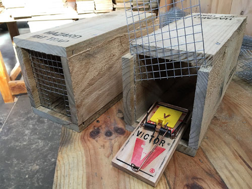 Rat Trap Wooden Tunnel